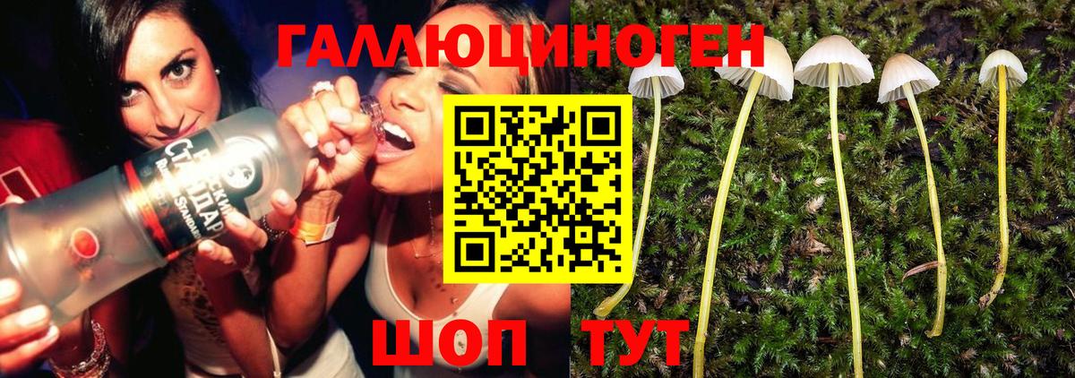 Новочеркасск  Псилоцибиновые грибы Psilocybe  Вход с VPN  Галлюциногенные грибы мицелий 